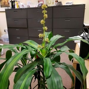 Meet your Posher, Angie